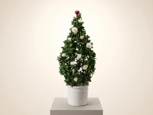 Outdoor Azalea Topiary Swirl ID# AZAS36C+