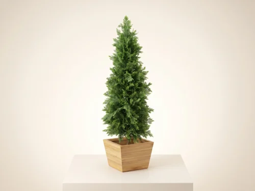 Outdoor Cedar Cypress Topiary ID# CEDC60+
