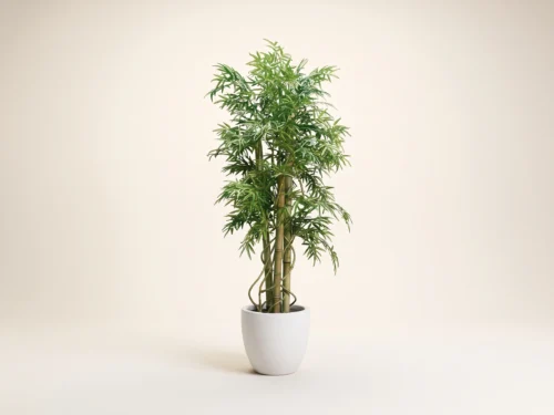 Wild Bamboo Tree ID# BBWM84