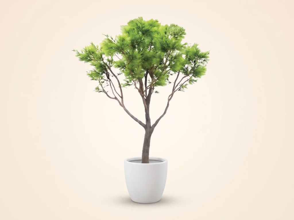 Artificial Umbrella Pine Tree
