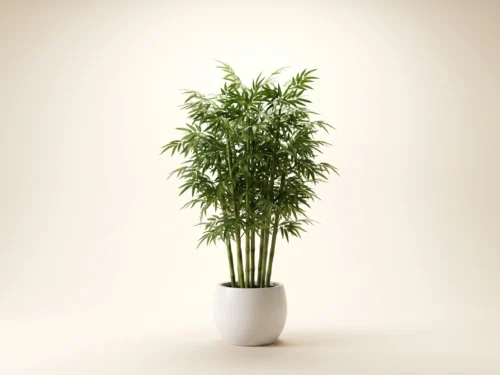 Timber Bamboo Canes, Giant ID# 10783
