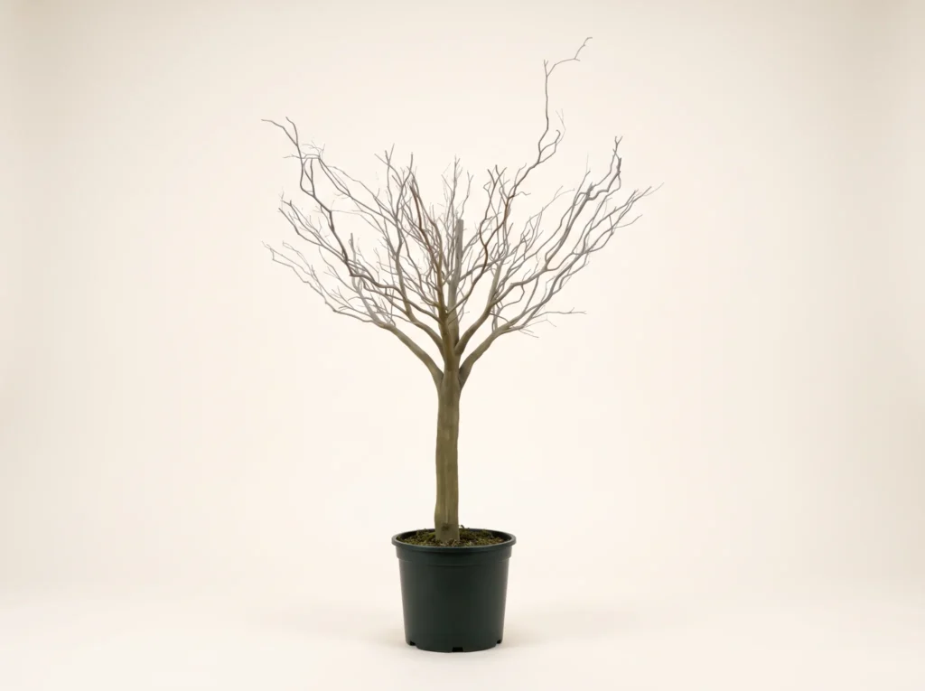Artificial Swampwood Leafless Tree