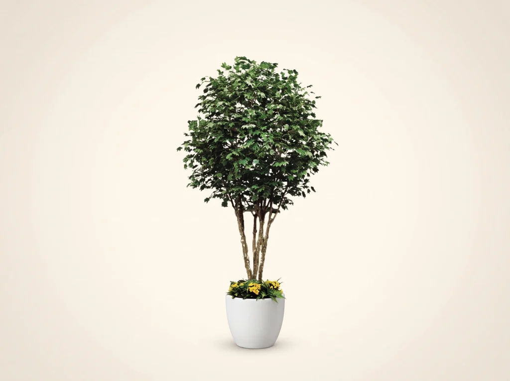 Artificial Sugar Maple Tree