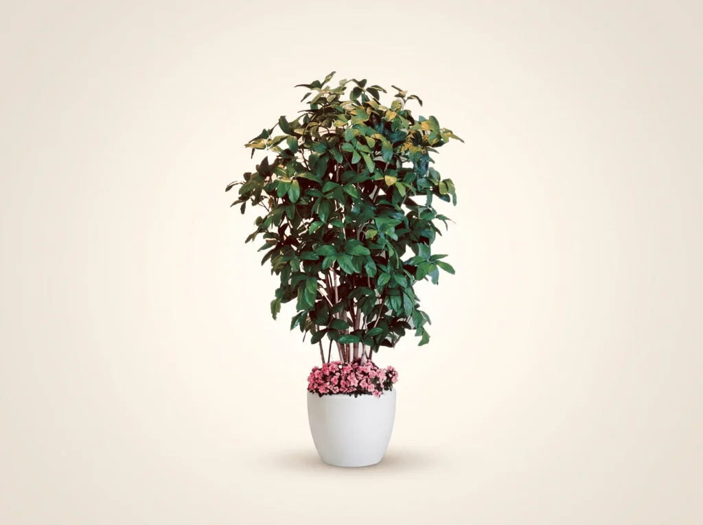 Artificial Schefflera Umbrella Tree