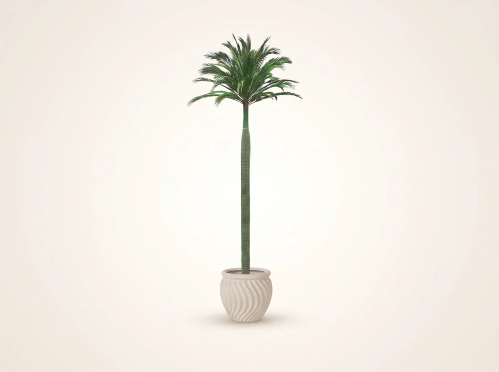 Royal Palm Tree Preserved
