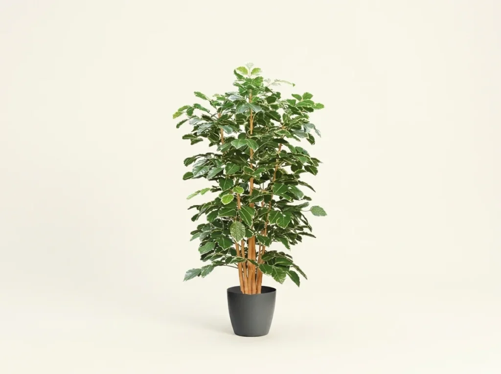 Artificial Roseleaf Aralia Plant