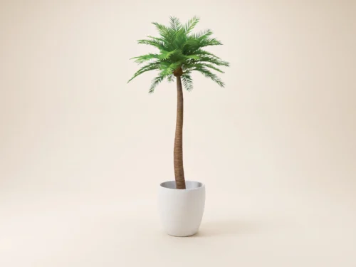 Tropical Palm Tree ID# PPN1X2 , PPN1X4