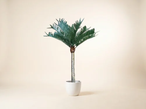Tropical Palm Tree, Outdoor ID# 7626