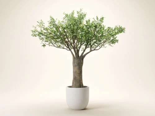 Olive Tree, Ceiling Tree ID# 13438