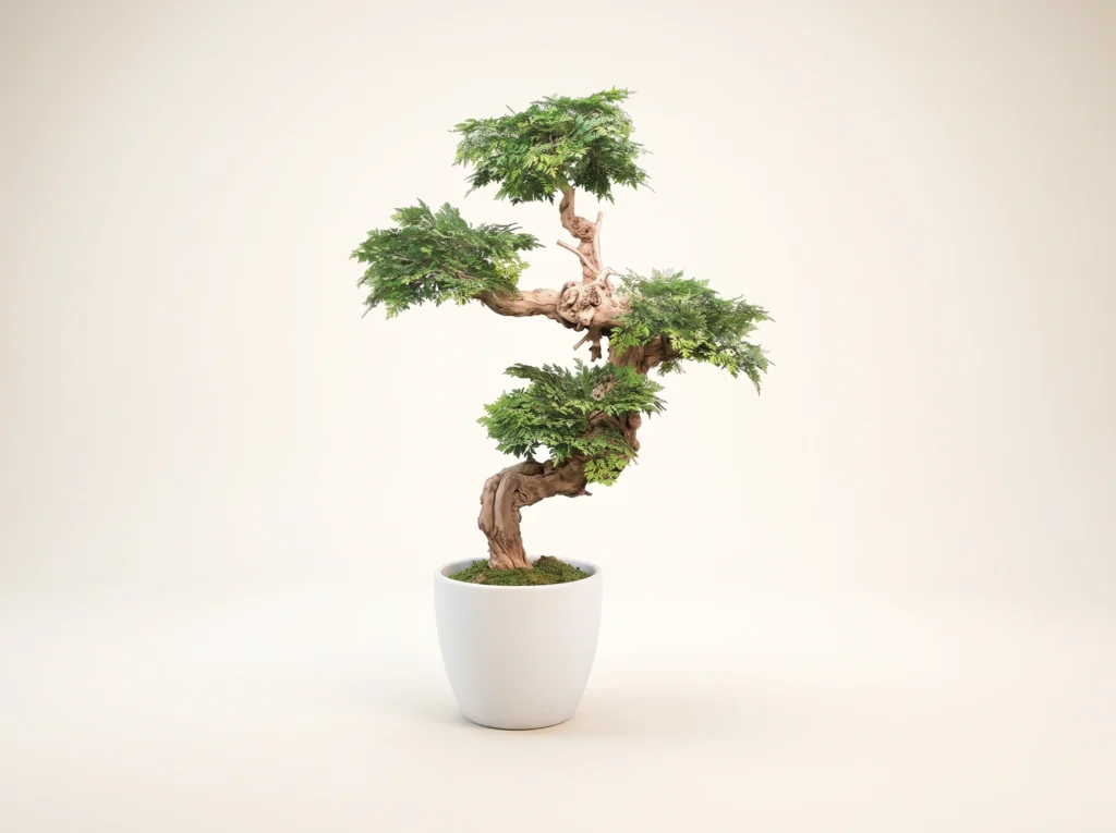 Artificial Ming Aralia Bonsai Tree