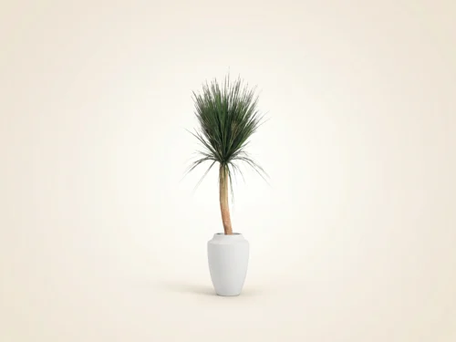 Onion Grass Tree ID# CRG-401GTLS