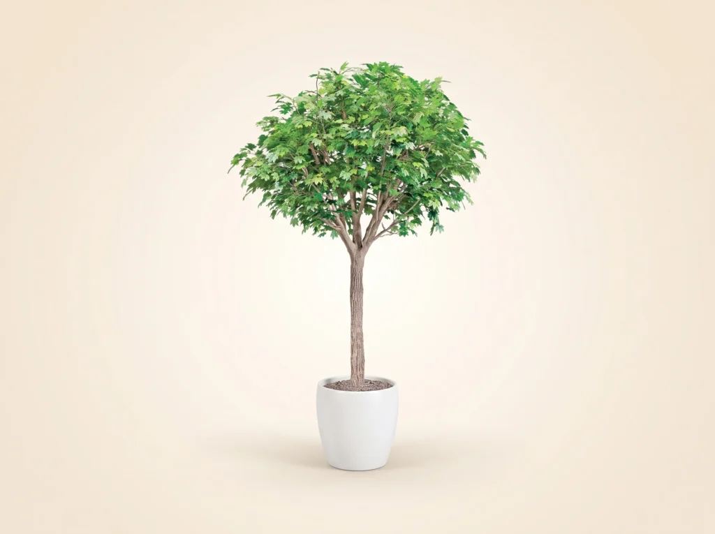 Artificial Maple Tree