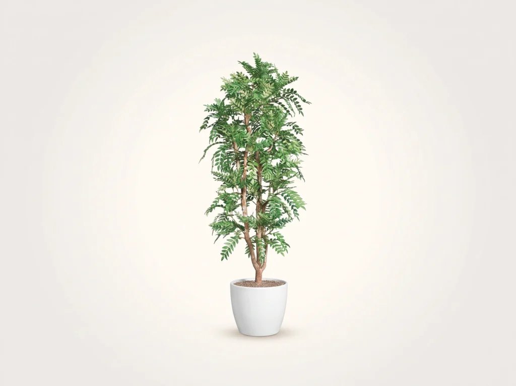Artificial Mesquite Tree Indoor