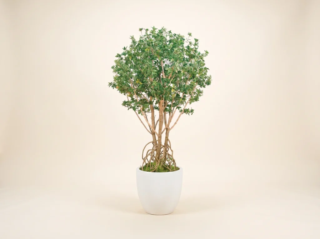 Artificial Mangrove Tree