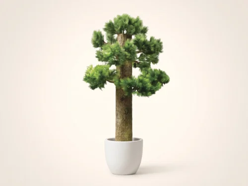 Long Needle Pine Tree, Column Wrap ID# PLN1X0