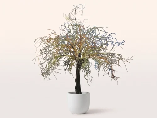 Spooky Leafless Tree ID# CUSTLLT96