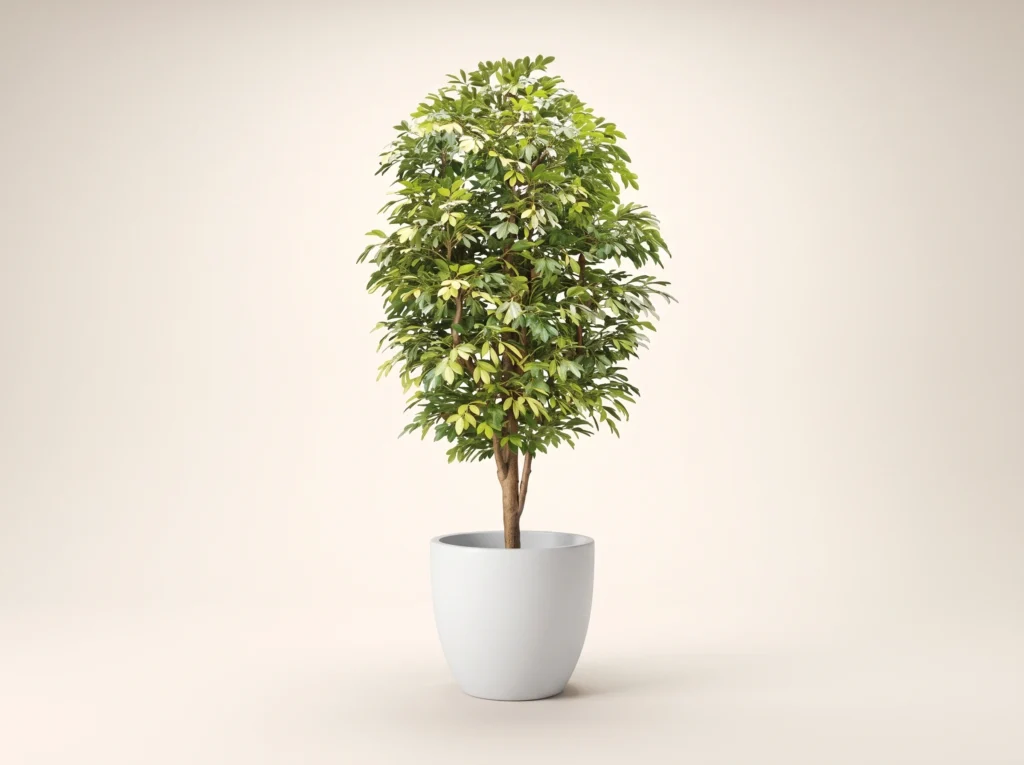 Artificial Bay Laurel Tree Outdoor