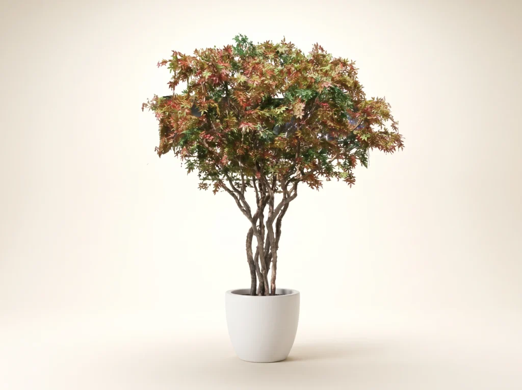 Fake Japanese Maple Tree