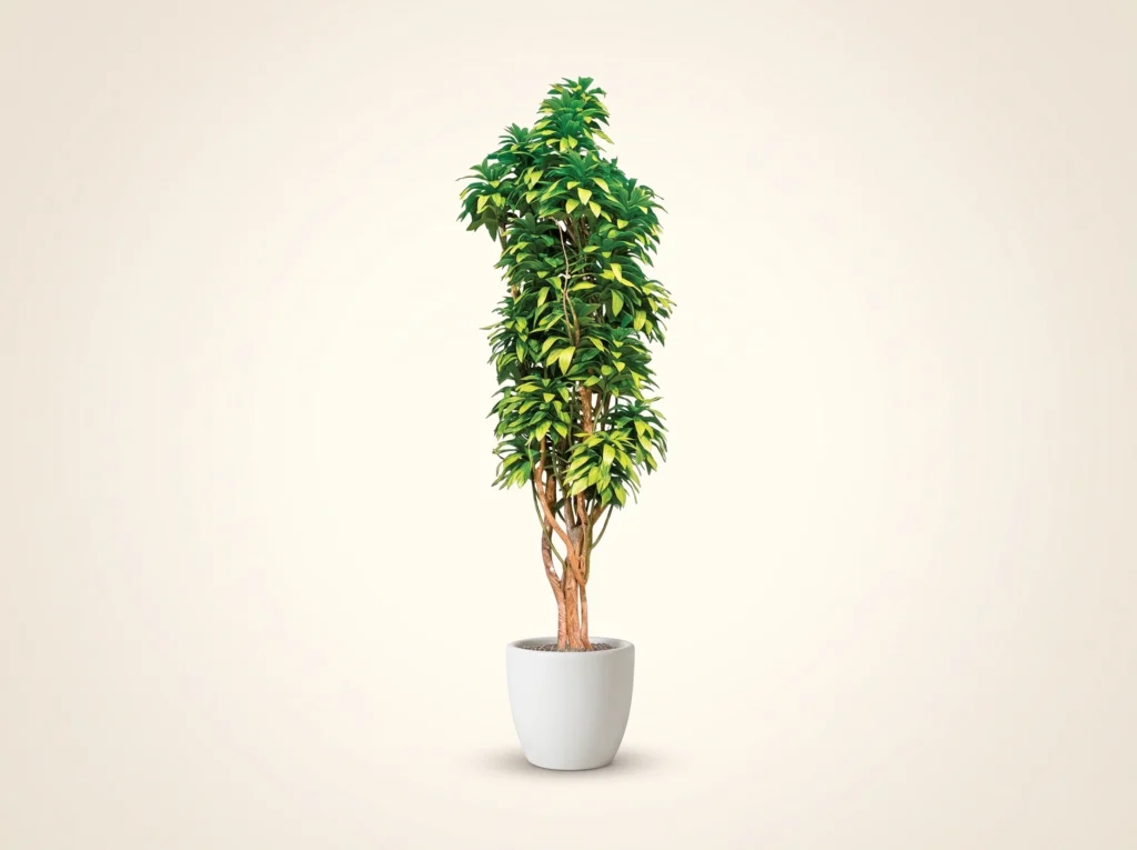 Artificial Janet Craig Tree