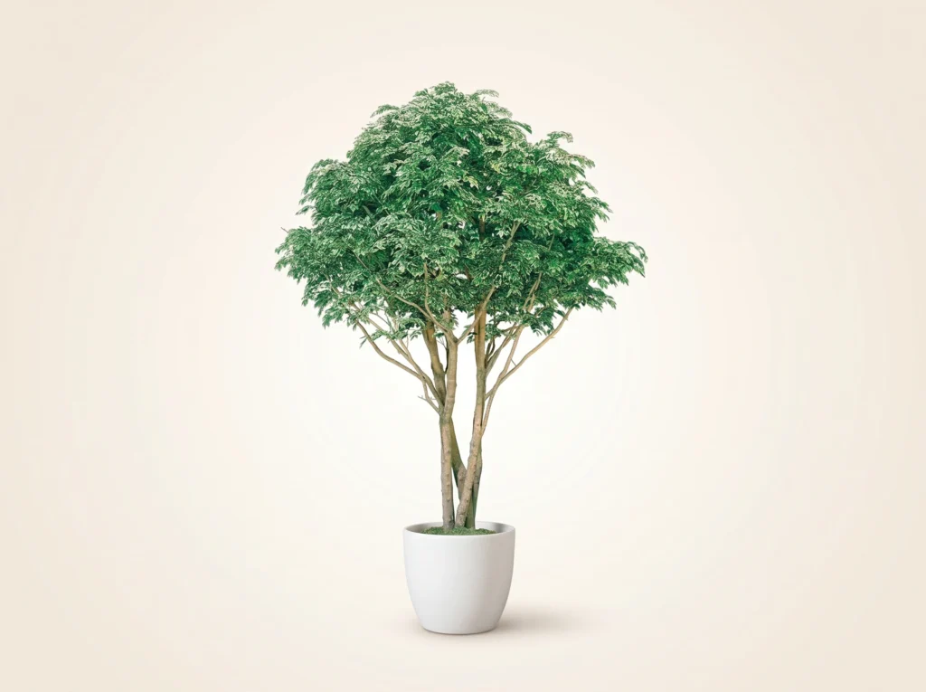 Artificial Hawaiian Ficus Tree