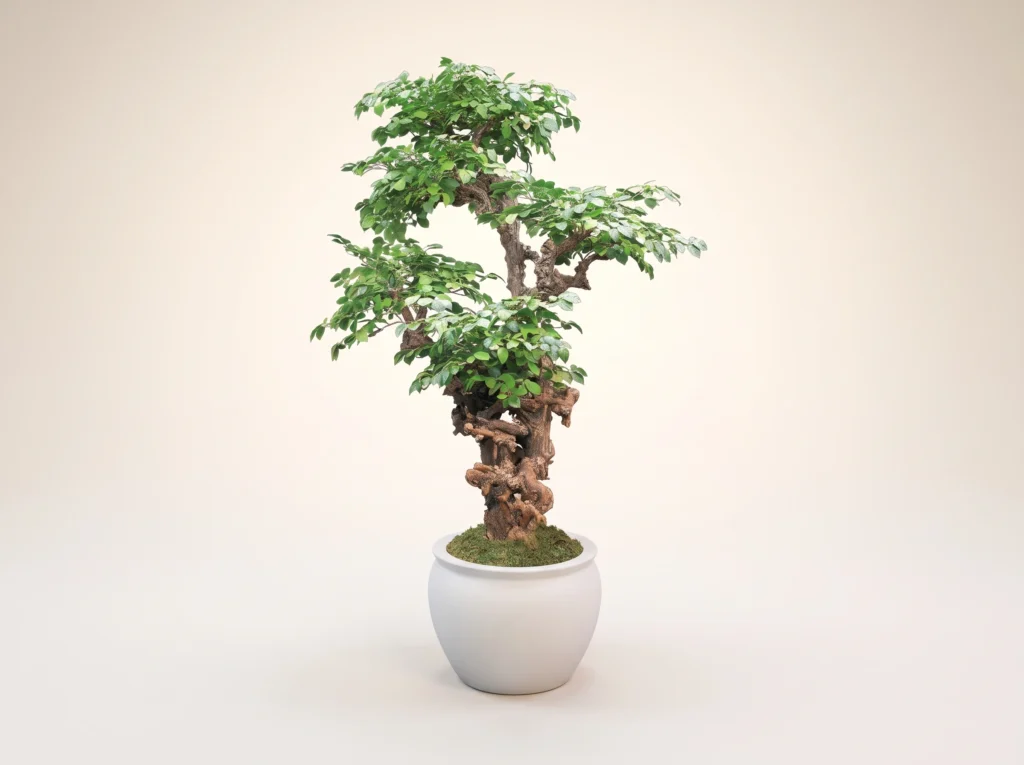 Artificial Ironwood Bonsai Tree