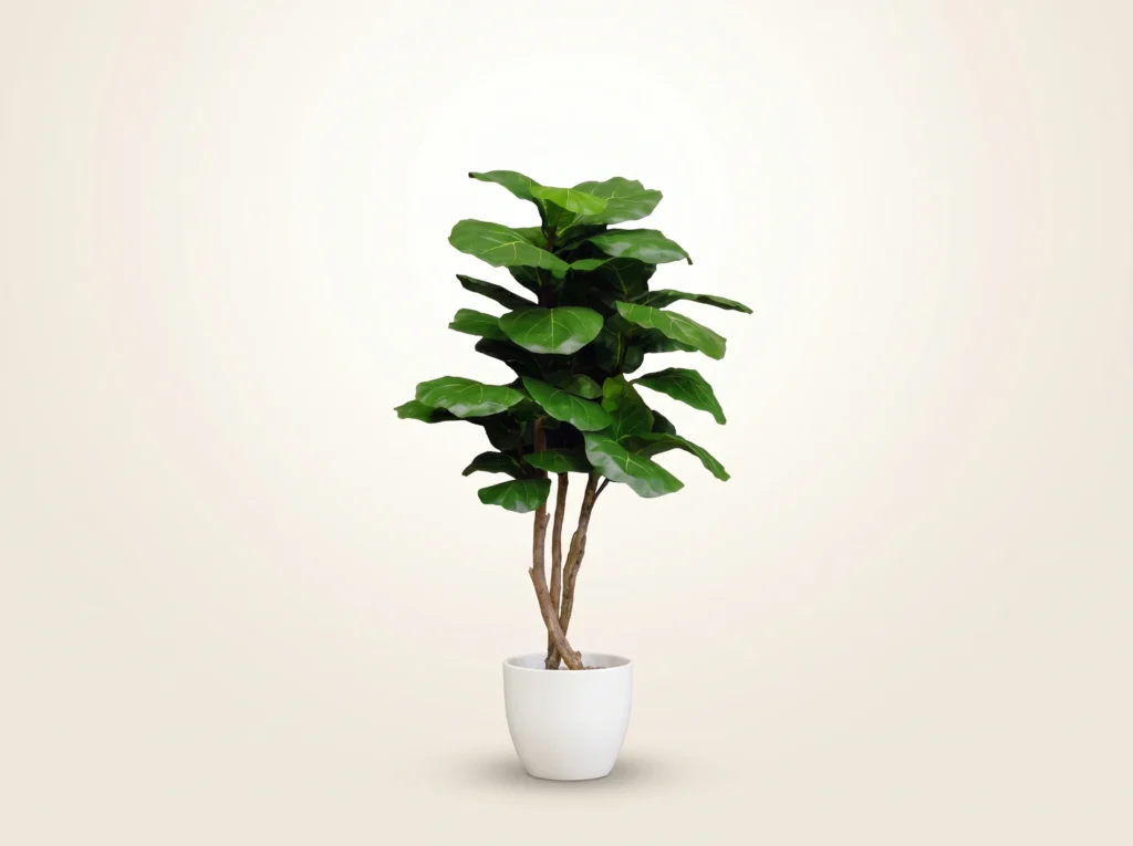 Artificial Fiddle Leaf Fig Tree