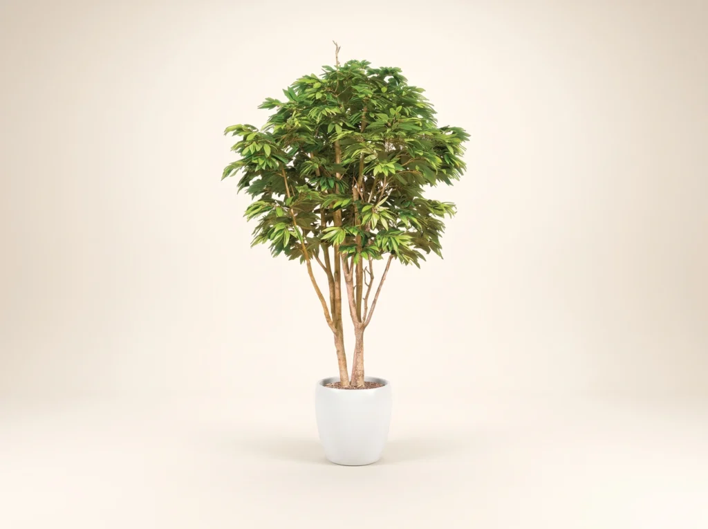 Artificial Ficus Alii Tree Indoor