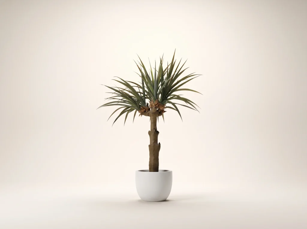 Dragon Tree Artificial
