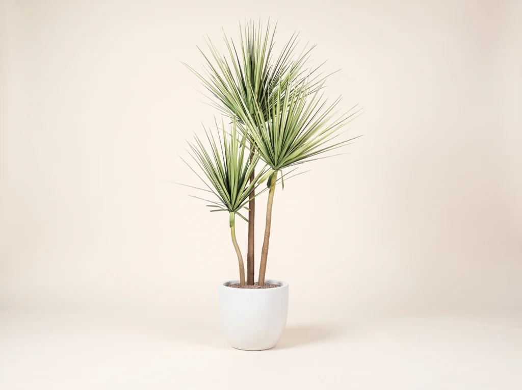 Faux Desert Yucca Tree