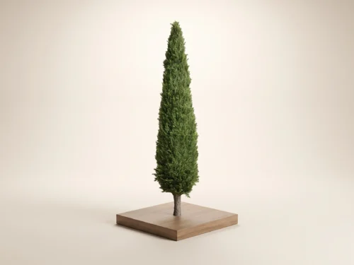 Cypress Column, Topiary ID# 13690