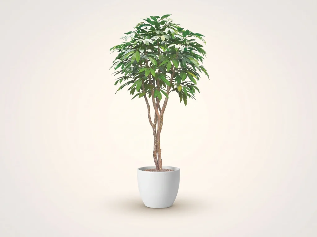 Artificial Chestnut Tree Indoor