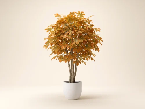 Chestnut Tree, Autumn ID# 15135
