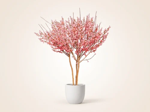 Cherry Tree, Corner ID# CUSTCHC96