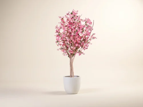 Cherry Blossom Tree ID# DCBM72