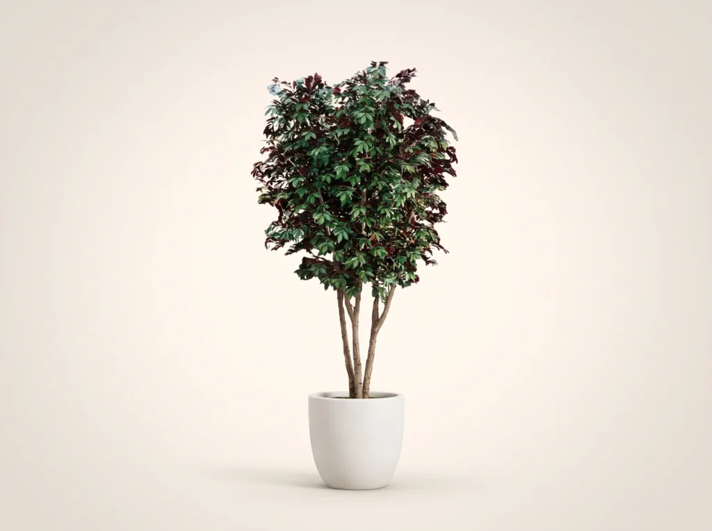 Artificial Canada Red Cherry Tree