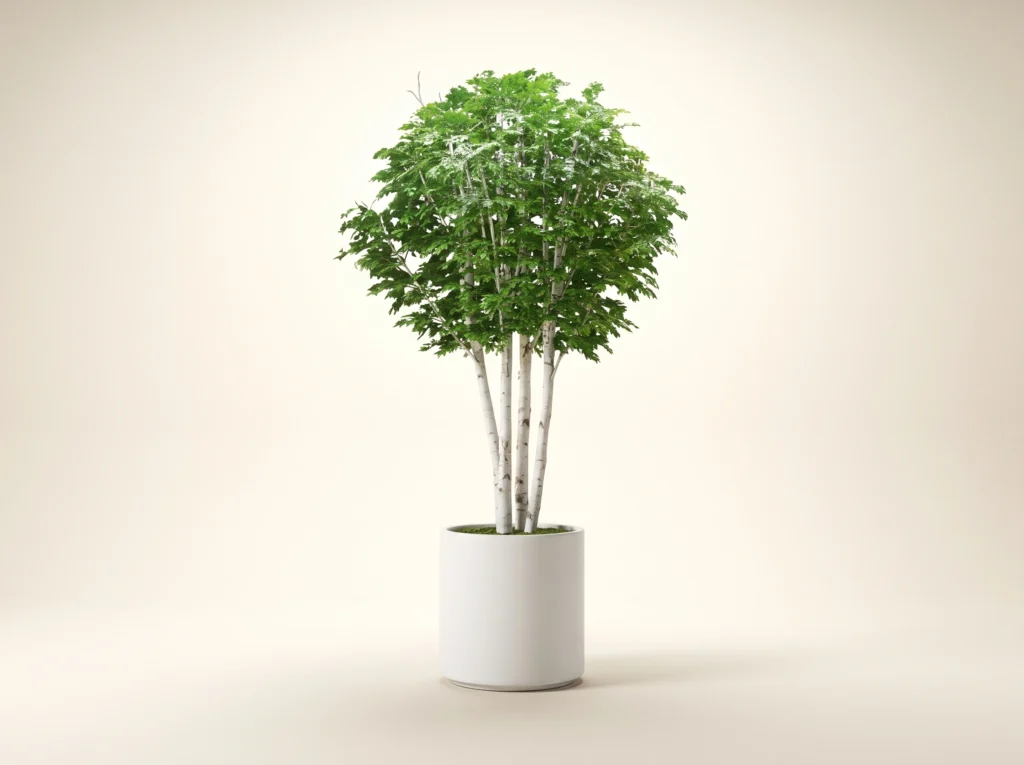 Artificial Birch Tree Indoor