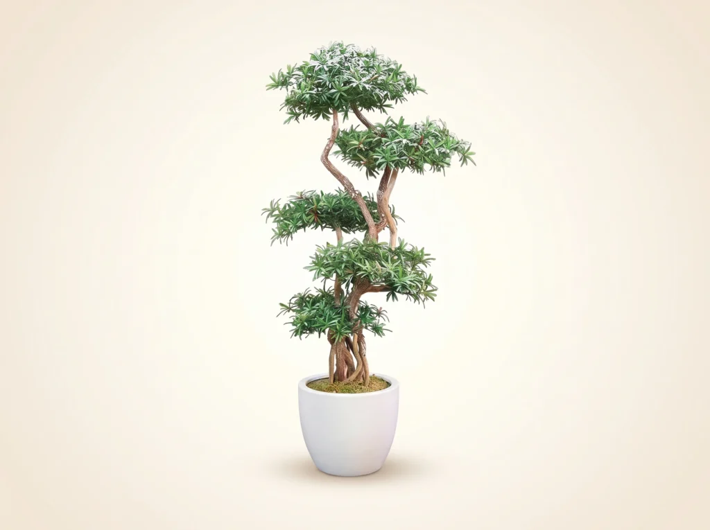 Artificial Podocarpus Bonsai Tree