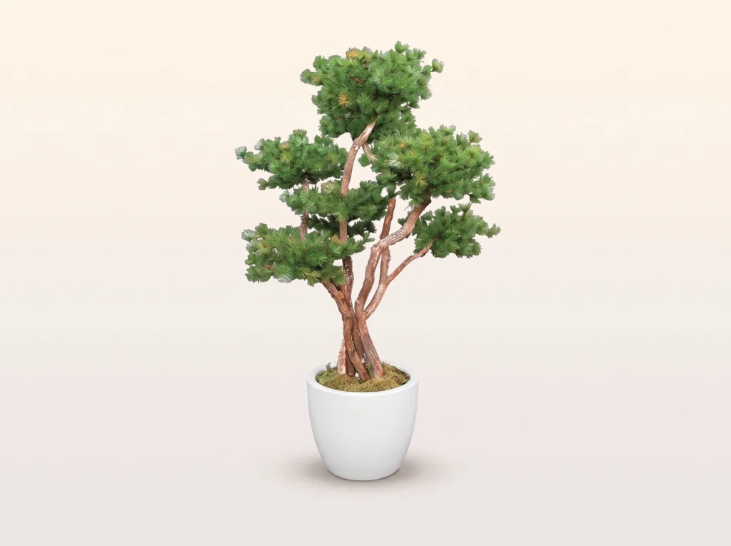 Artificial Rocky Mountain Pine Bonsai Tree