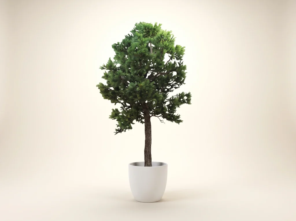 Fake Aleppo Pine Tree