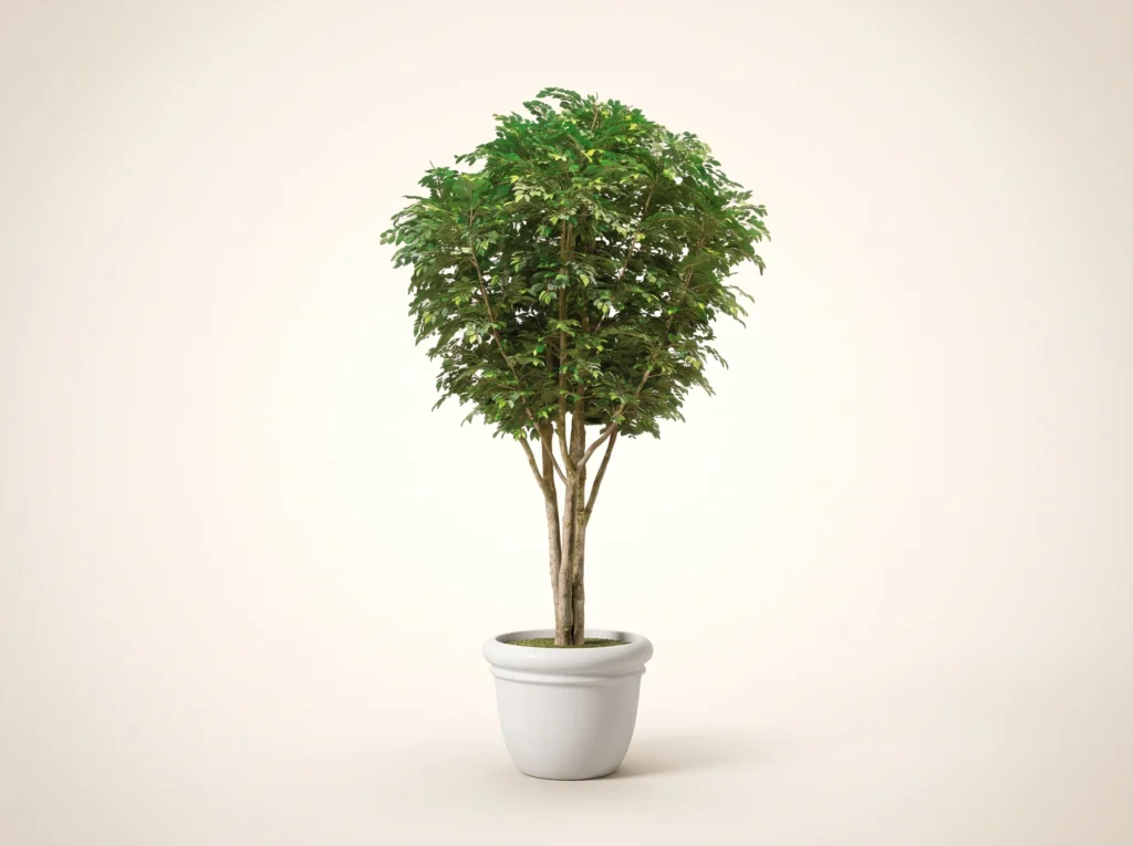 Artificial Ficus Benjamina Tree (Indoor/Outdoor)